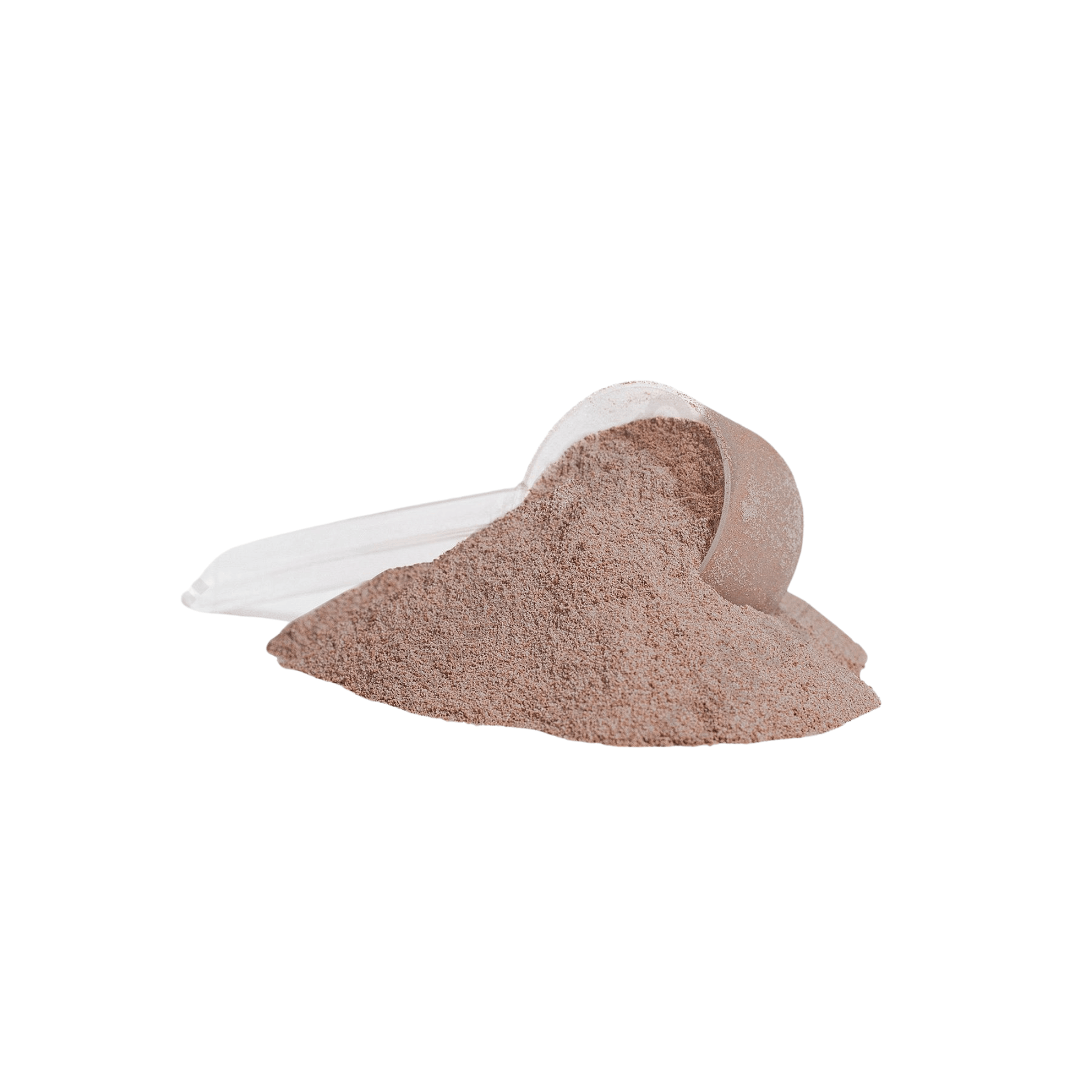 "FORZA" Whey Protein (Chocolate) - OnlyFit